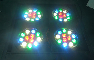 Led Audience Dmx Blinder Light 4 mắt Rgbw DJ Stage Ánh sáng chuyên nghiệp Ánh sáng
