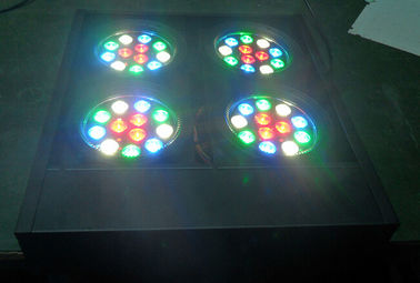 Led Audience Dmx Blinder Light 4 mắt Rgbw DJ Stage Ánh sáng chuyên nghiệp Ánh sáng